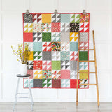 Fruit Loops Fly Free Pre-Cut Quilt Kit