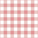 Gingham Baby- Pink