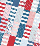 Fireworks Fields Pre-Cut Quilt Kit
