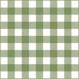 Gingham Baby- Green