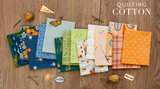 Happy Checks: Happy Camper Pre-Cut Quilt Kit