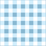 Gingham Baby- Blue