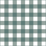 Gingham Baby- Teal